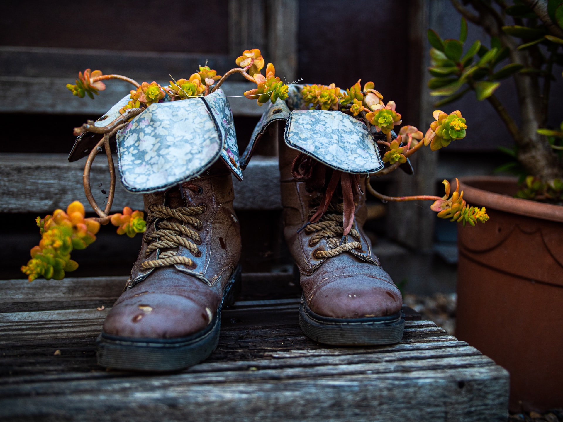 boots with flowers growing from them