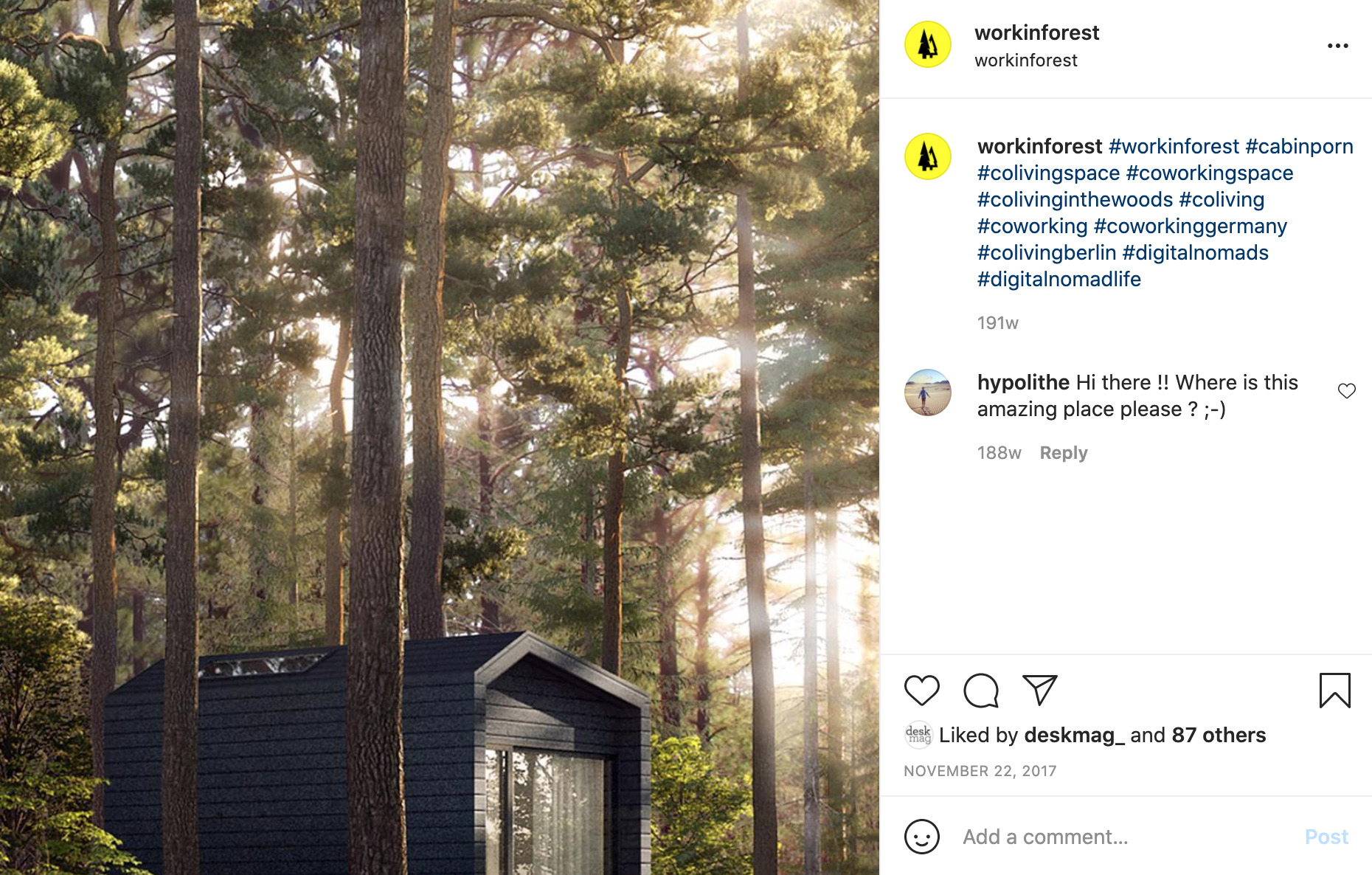 an instagram post by workinforest