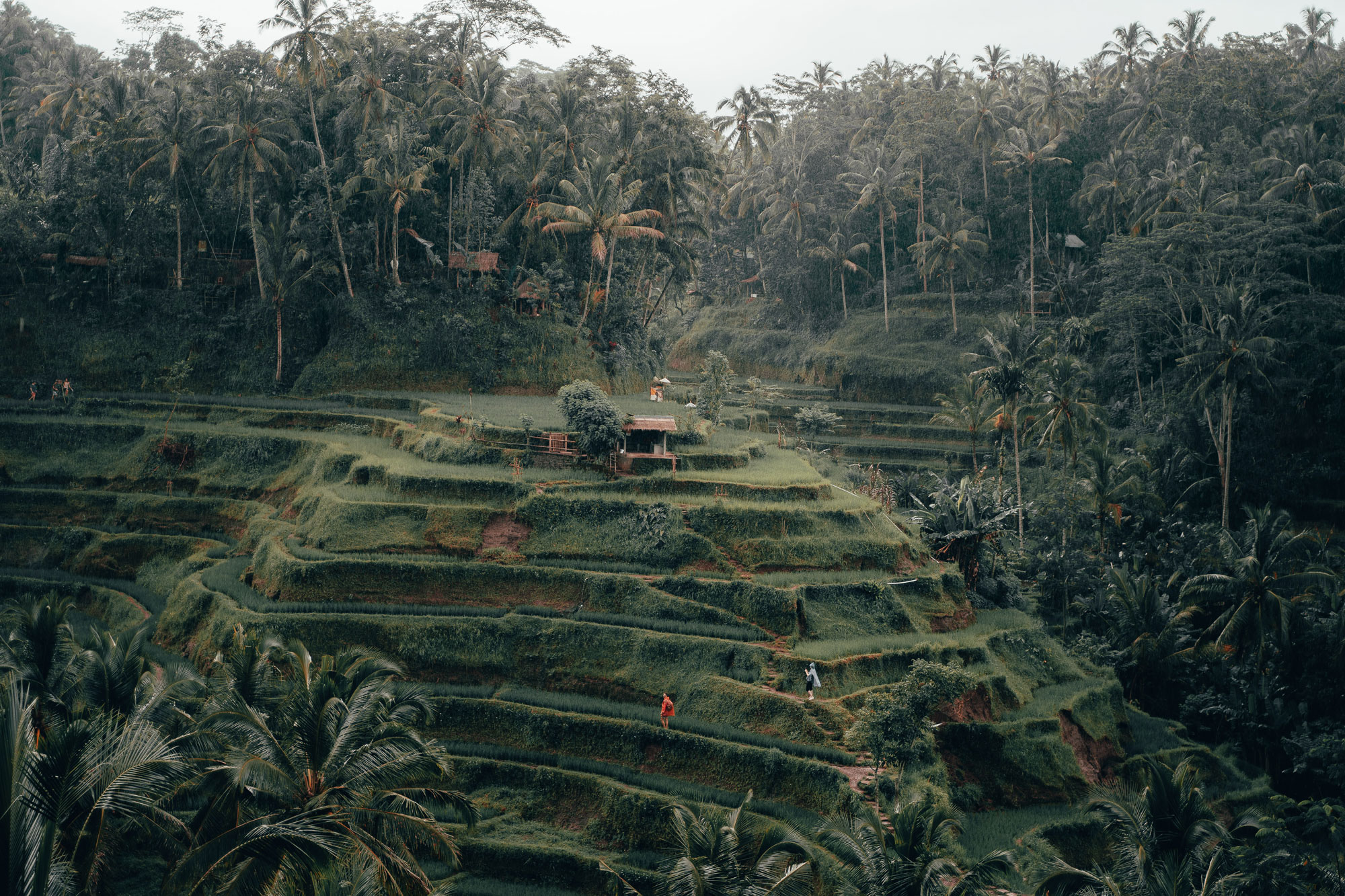 a coworking space in bali
