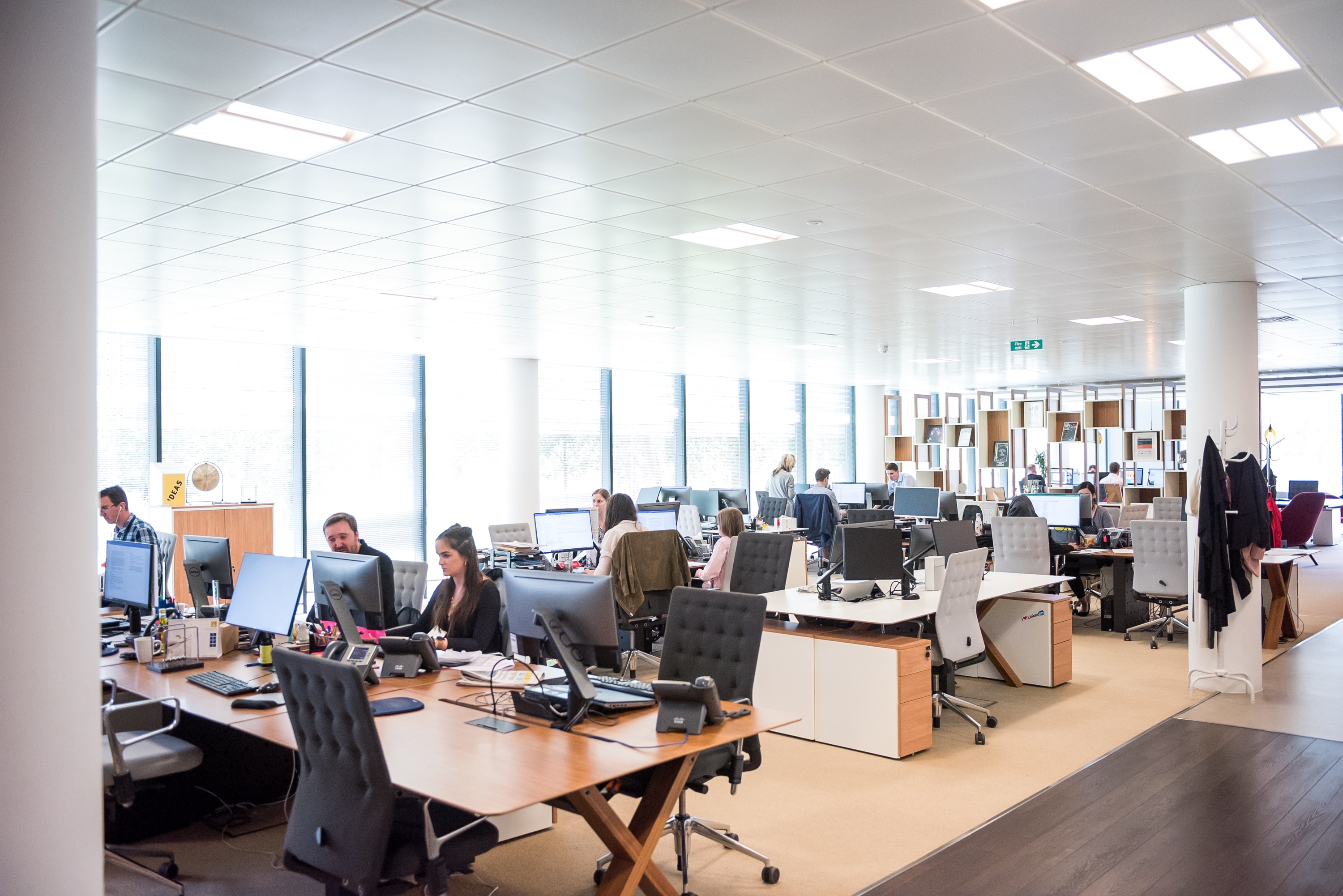 people working in a coworking office