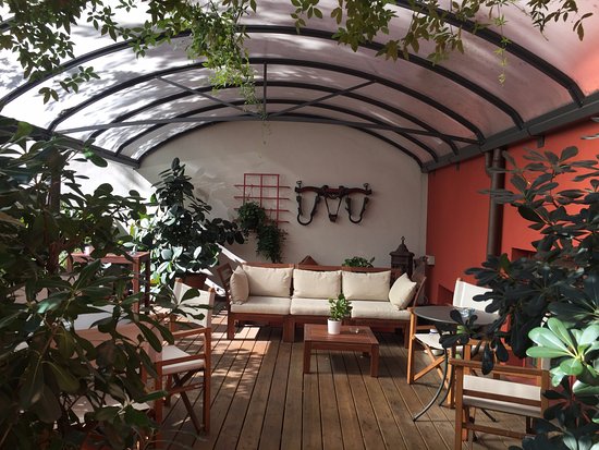 a coworking space with lots of green plants