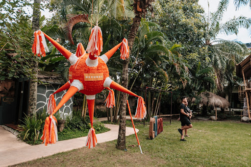 Nexudus pinata