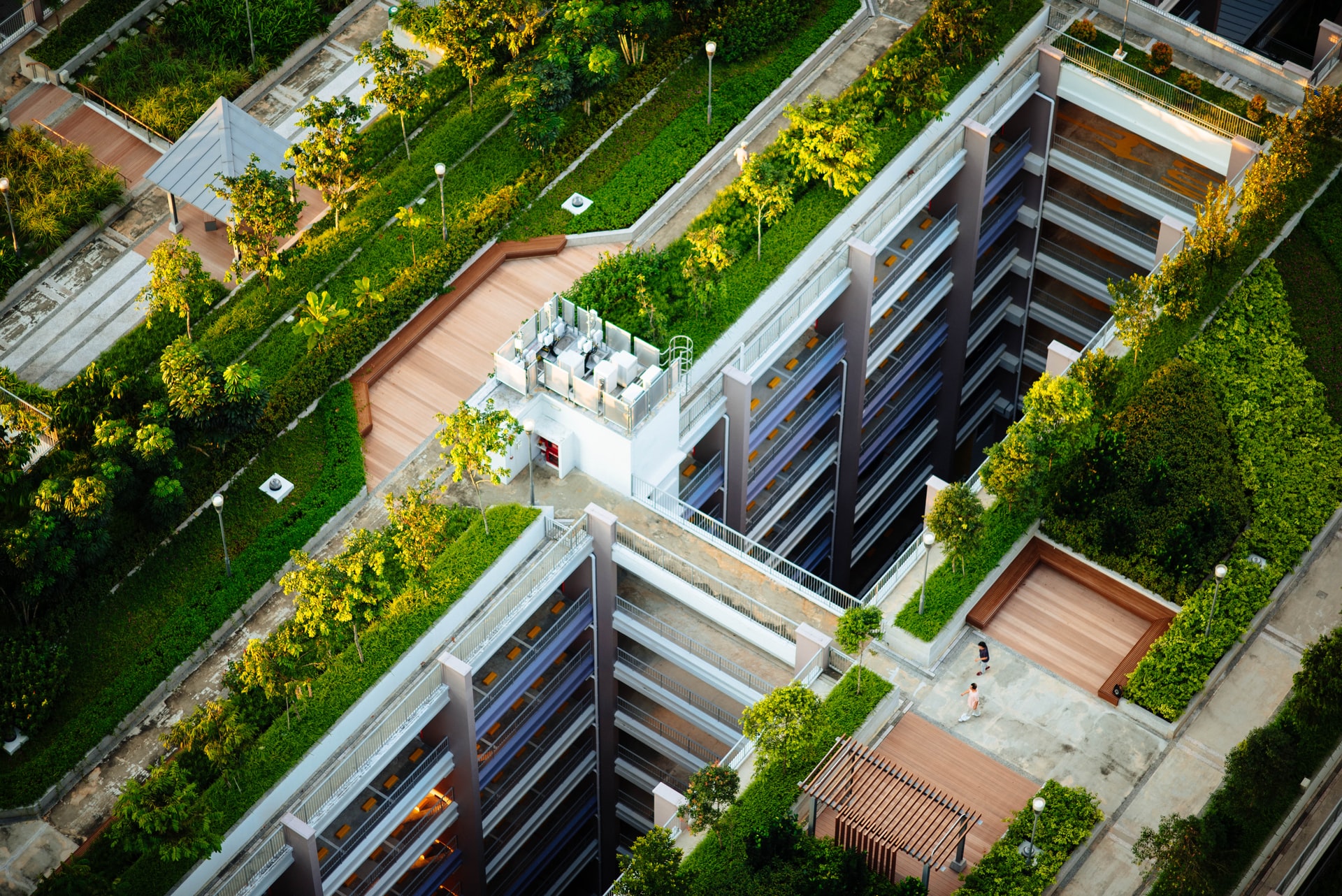 aerial photo of green balconies on top of buildings