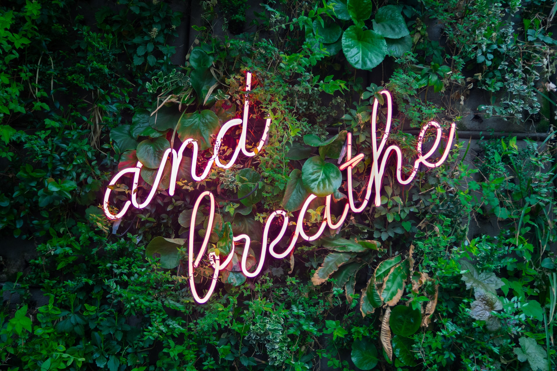 a neon sign "and breathe" in green leaves
