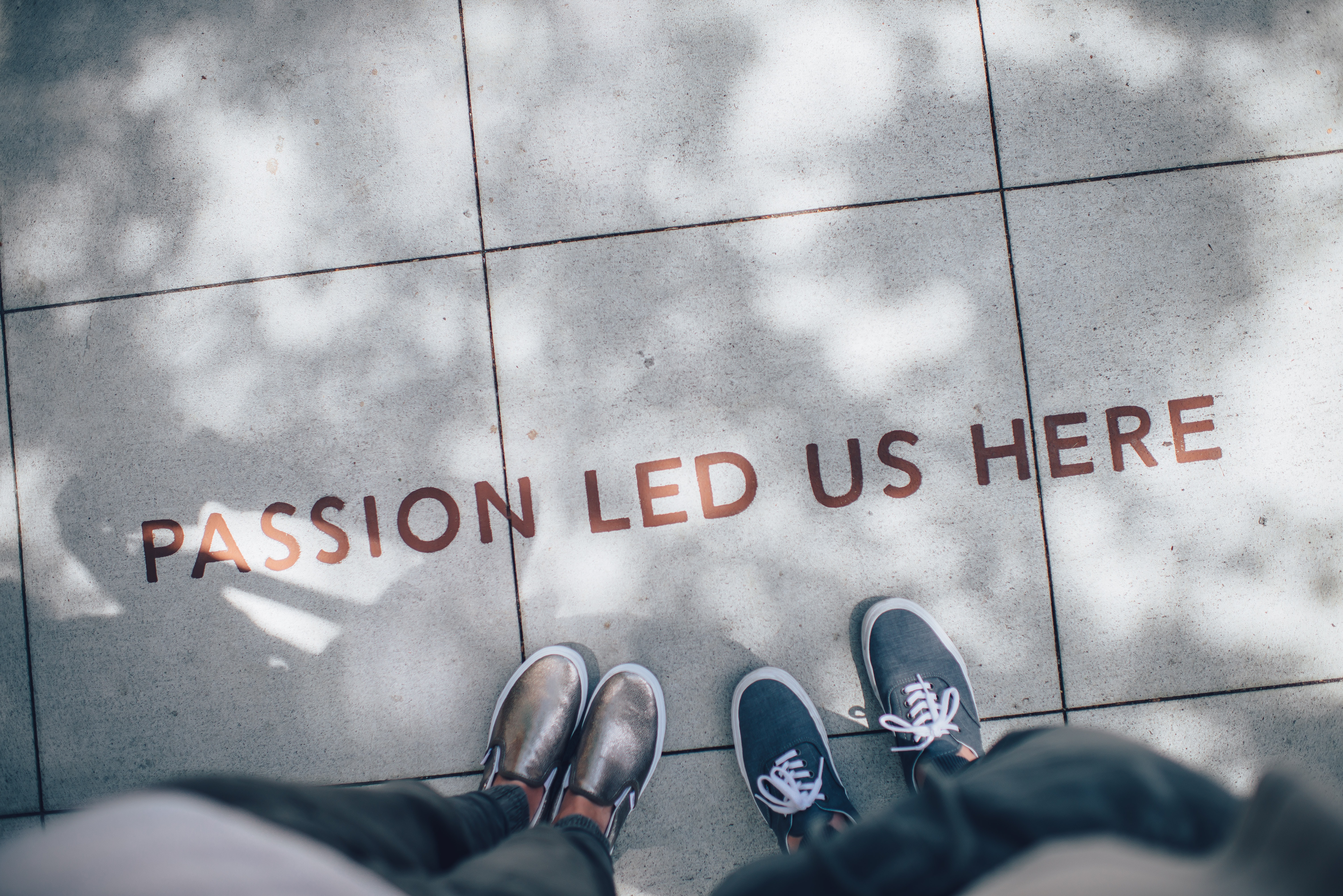 writing on the street floor "passion led us here"