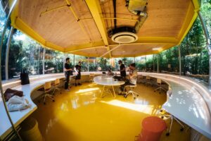 a coworking office surrounded by trees