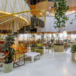 a colorful coworking office wit lots of plants