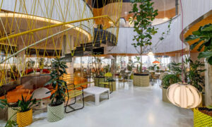 a colorful coworking office wit lots of plants