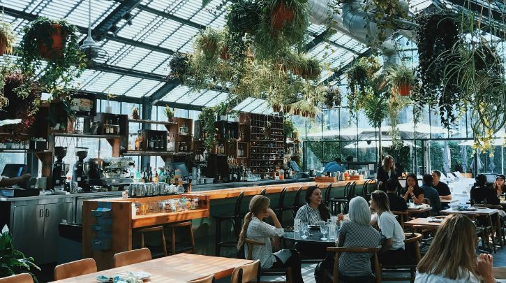 Interior of a restaurant with industrial styling a lots of hanging plants